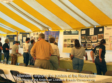 Saturday Poster Session